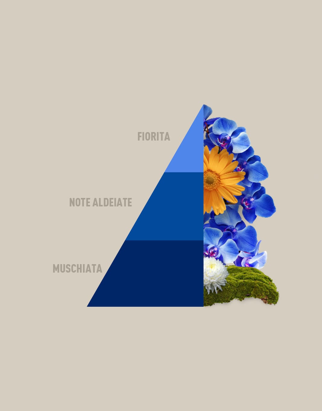 DEODORANTE PER TESSUTI SPRAY BLUE FIOR DI LOTO 250 ml