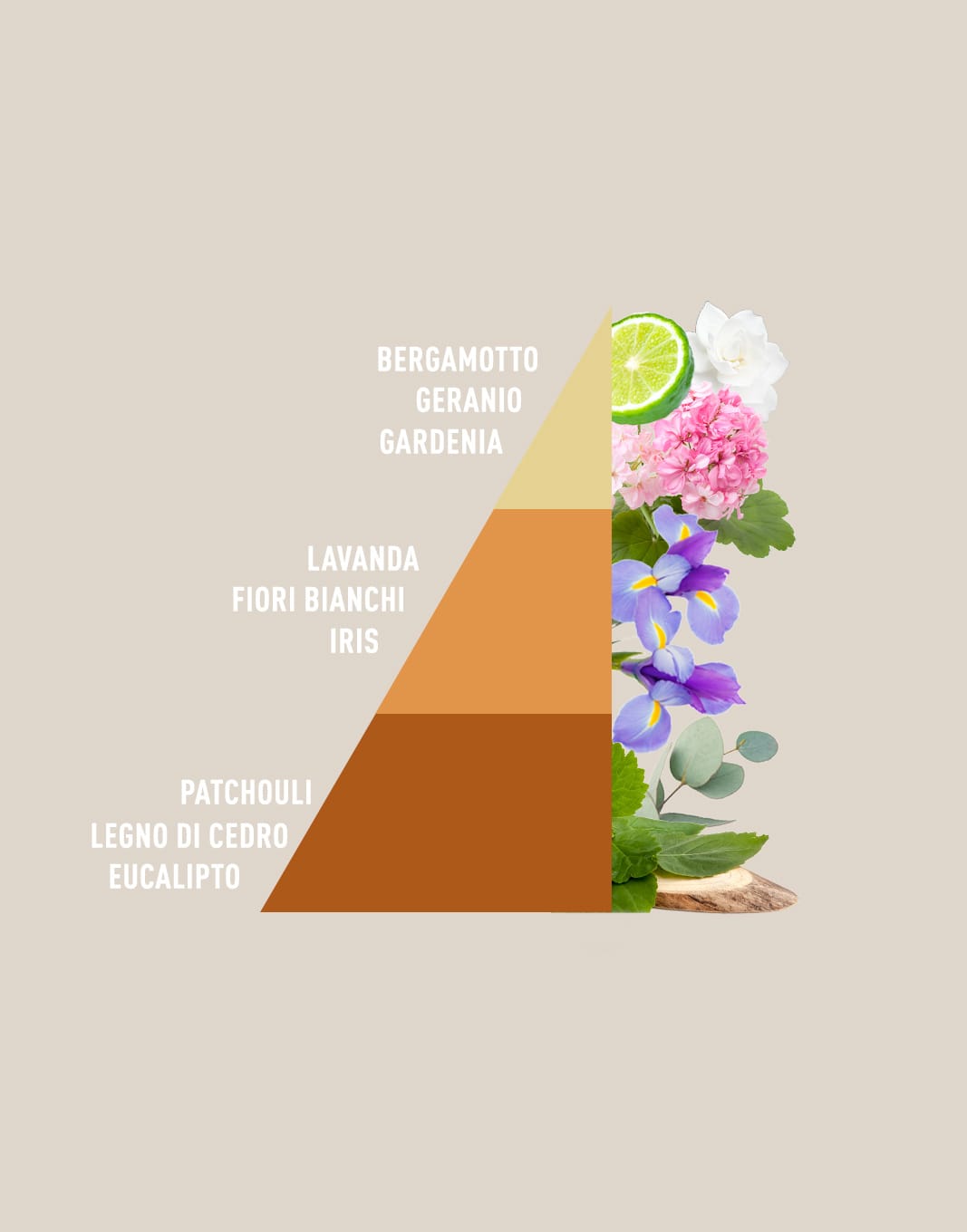 PROFUMA BUCATO ELIXIR 50 250 500 ml