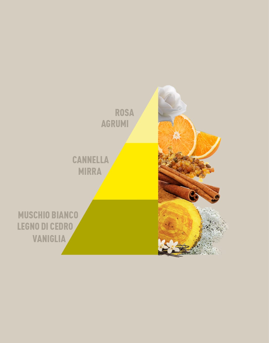 PROFUMA BUCATO VANIGLIA E MIRRA 50 250 500 ml