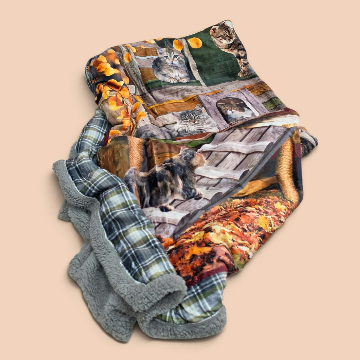 Plaid in pile agnellato stampa digitale Sherpa Gatti zucca autunno – 3 misure