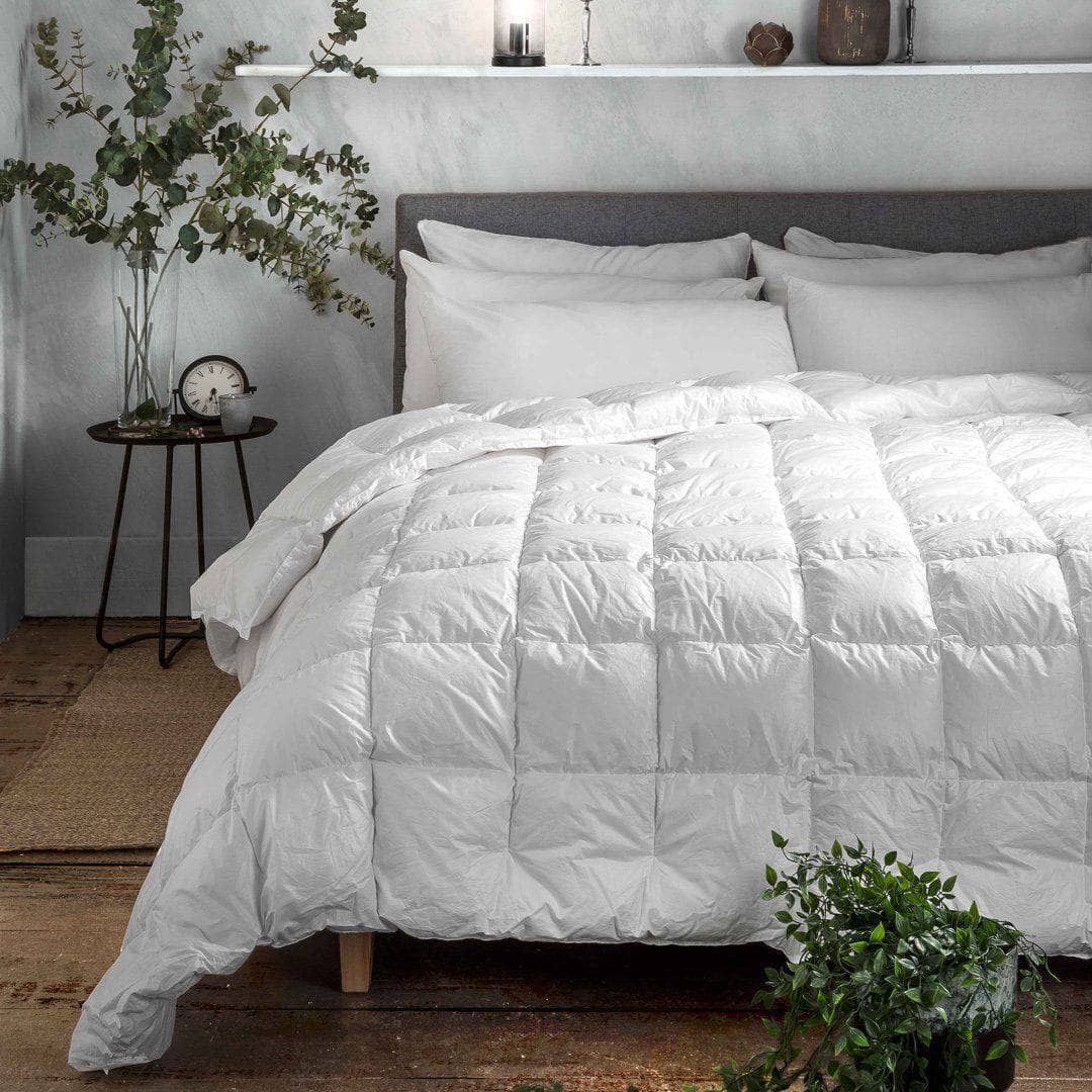 Piumino Sanitizzato Piazza e Mezza Singolo Matriomoniale 300 GSM trattamento contro acari e muffe